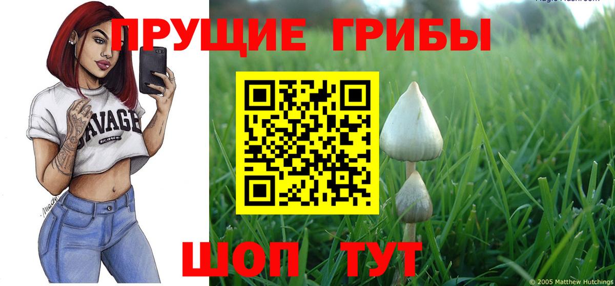 Псилоцибиновые грибы мицелий Боровичи