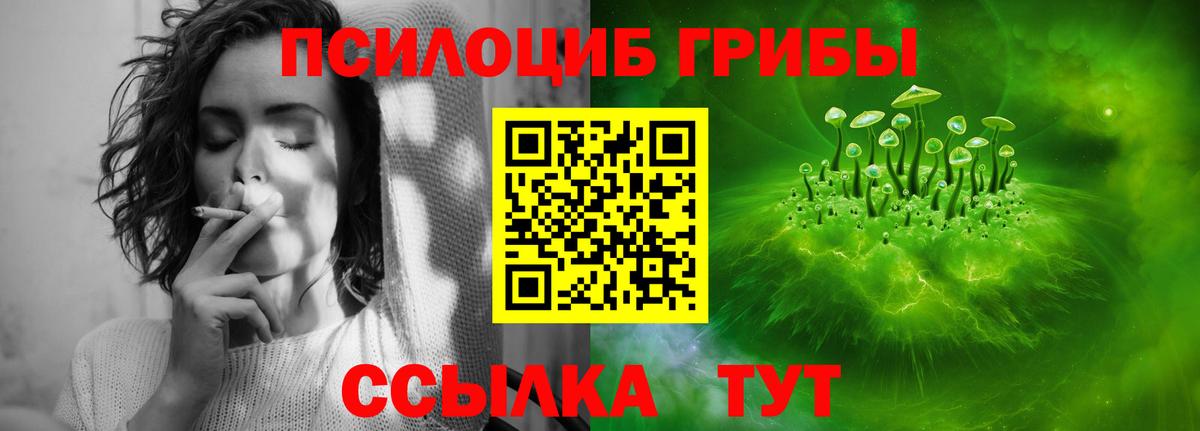 купить   Псилоцибиновые грибы ЛСД  Вход с VPN  Боровичи 